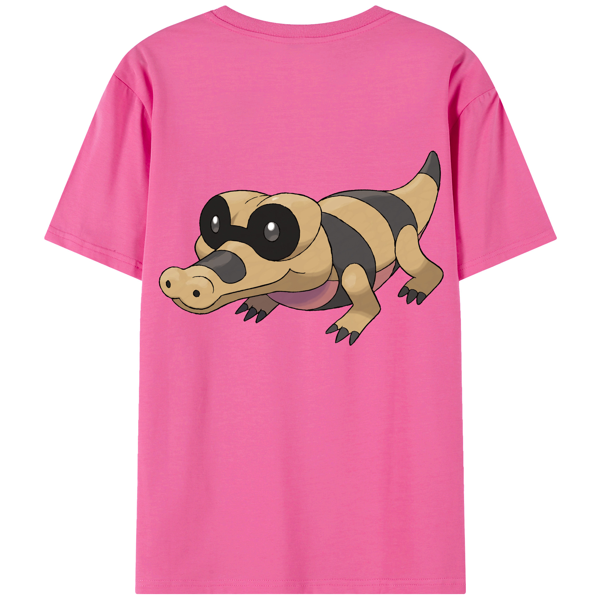 （画像用） ポケットモンスター Pokémon レディース半袖Tシャツ(バックプリント)